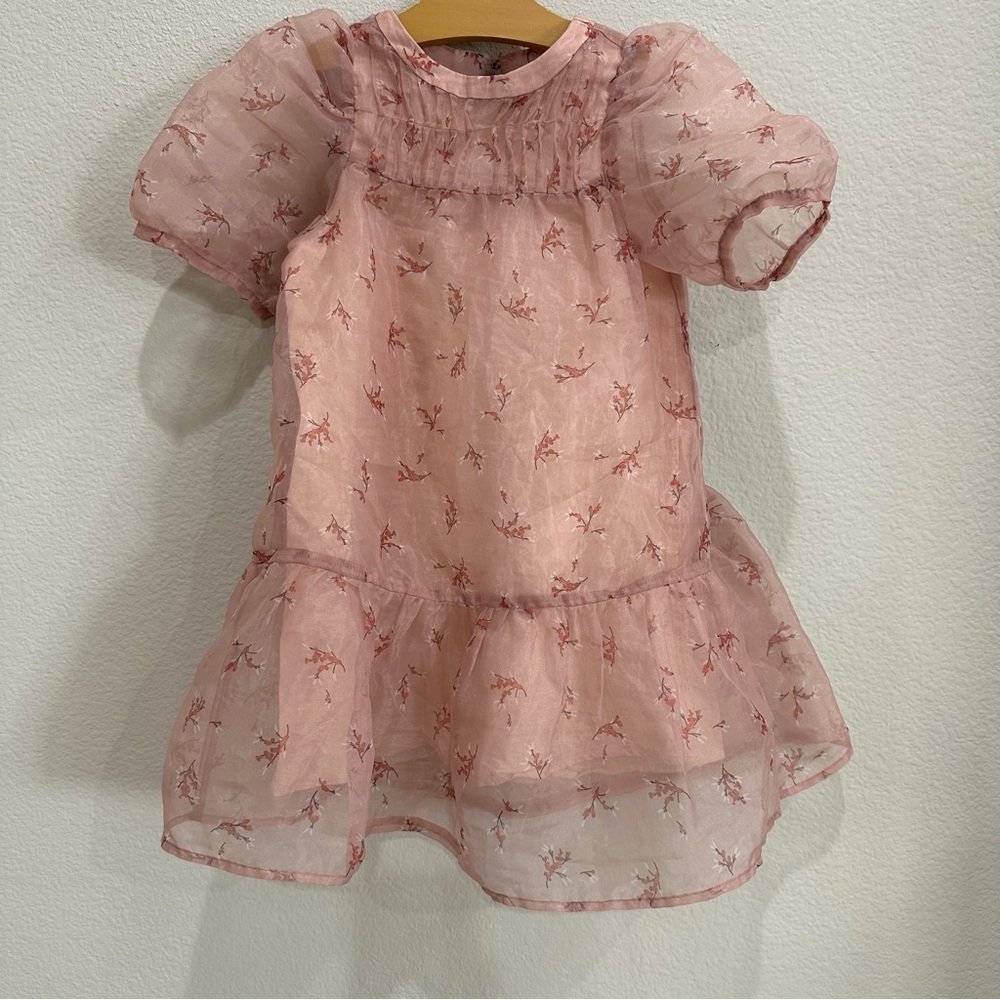Zara Kids Pink Floral Sheer Organza Dress